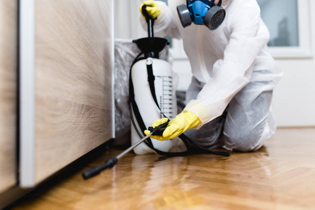 Best Local Pest Control Services  in Many, LA